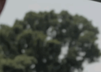 H2310004 Matandang tagalinis, pinagbintangang magnanakaw ng burarang babae part2