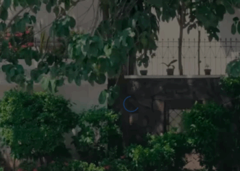 H2510006 Sugar Pastor nag Jowa ng Bata