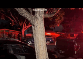 H2510002 Sunnyvale Fire Responding to Kitchen Fire #sunnyvalecalifornia #su