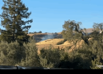 H2610002 VEGETATION FIRE SAN JOSE Tuesday, PM San Jo