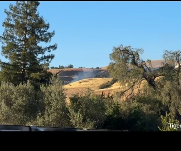 H2610002 VEGETATION FIRE SAN JOSE Tuesday, PM San Jo
