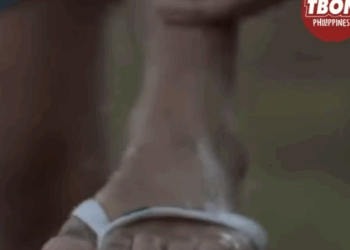 H2710008 Magsasaka, Inǎlipustā ng pekeng amo