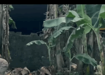 H2910004 Anak na dalaga kainuman ng sariling Ama Directed by Nico Yecyec part2