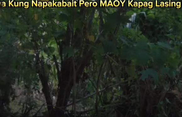 H3010006 Asawa Kung Napakabait Pero MAOY Kapag Lasing part2