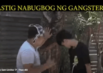 H3010007 Astig Nabugbug Ng Gangster part2