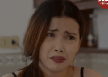 H3010003 Mister inalupusta ng misis