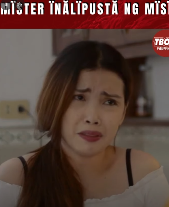 H3010003 Mister inalupusta ng misis