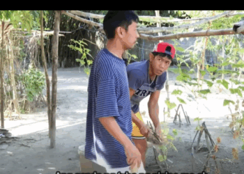 H3010003 Nasobraan Da Ti Kinatalino Dan Sika Madi Maexplain Baak Andres part2