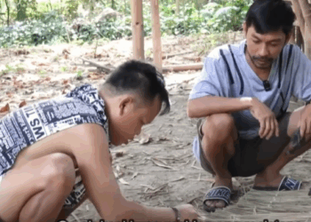 H3010001 Asidig Malpas Ay Kubo Ni Baaken part2