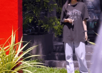 H3010002 Ang presidente ng PPPD, ang sorpresang tagahanga, pero naunang bumalik ang tagahanga