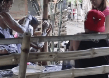 H0111003 Nag Swerte Kan Demcy