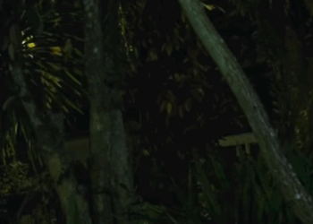 H1010005 Isang gabing pagkakamali part2