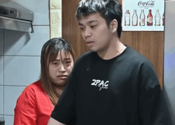 H1310001 AMONG TÍRADOR NG KASAMBAHAY