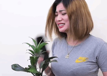 H2111003 MAHAL KO SI TITO part2