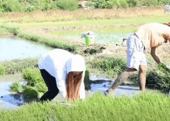 H0511001 Mitreng Alwadam Ti Aramid Mo Baka Makita Na Ka Ni Emma Baak Andres part2