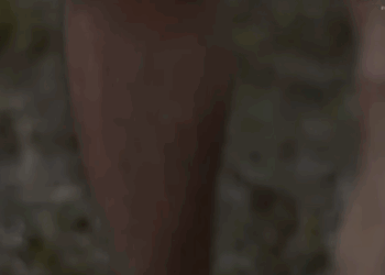 H0511009 Magsasaka, Inǎlipustā ng pekeng amo part2