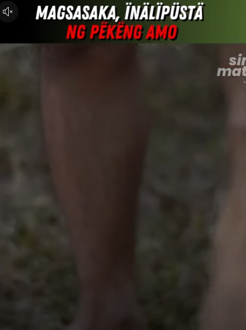 H0511009 Magsasaka, Inǎlipustā ng pekeng amo part2