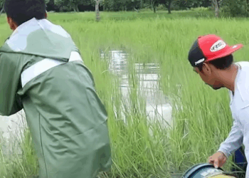 H0611005 Nalayos Raep Ni Andres part2