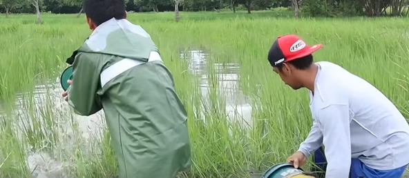 H0611005 Nalayos Raep Ni Andres part2