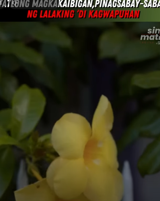 H0611010 Tatlong magkakaibigan, pinagsabay sabay ng lalaking di kagwapuhan part2