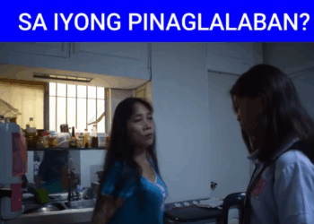 H0811004 Ampon (1) part2