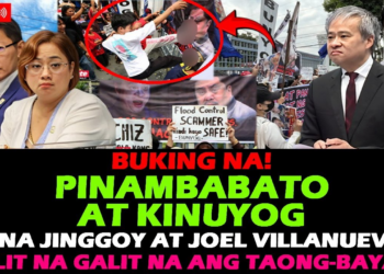 IBINULGAR! Mga Senators Joel Villanueva at Jinggoy Estrada, GUMAGAPANG SA ANOMALYA; Whistleblower na si Bryce Hernandez, Naging BIKTIMA ng MARAHAS na GANTI