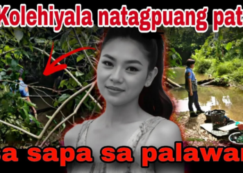 Tragic Discovery in Palawan: The Story of Jemarie Misajun (NH)