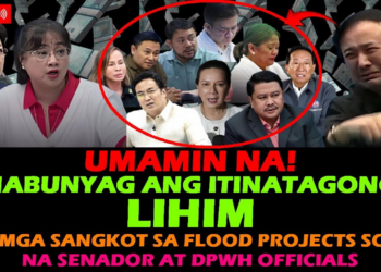 NAKAGULILAT NA PAGBUNYAG SA SENADO: Dating Usec ng DPWH, Isiniwalat ang Bilyon-Bilyong ‘Kickback’ sa Baha; Mga Senador at Dating Kalihim, Binistay!
