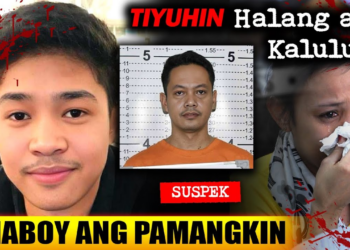 When a Mother’s Fear Was Not Just a Dream A Silent Childhood, a Sudden Homecoming, and the Long Road to Justice (NH)