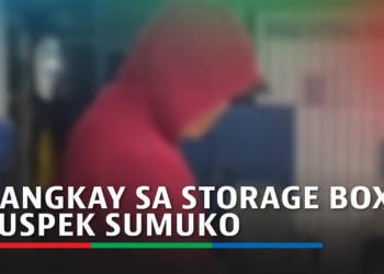 THE STORAGE BOX CONFESSION: TRAGEDY, JEALOUSY, AND THE SURRENDER OF A FUGITIVE (NH)