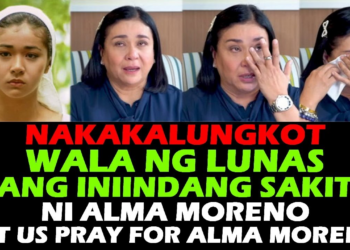 “WALA NANG LUNAS”: Alma Moreno, Lumuluha at Nag-iisa sa Pagtitiis ng Multiple Sclerosis; Viral na Panayam, Naging Mabisang Aral sa Buhay
