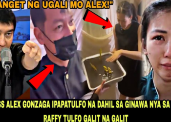 Ang Pambabastos na Walang Katatawanan: Paano Naging Kontrobersiya ang Birthday Cake ni Alex Gonzaga at ang Kahihiyan ng Isang Waiter?
