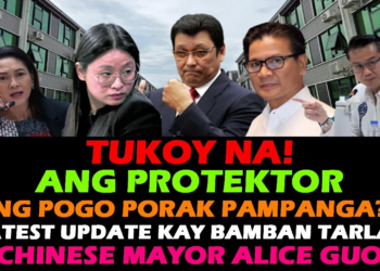 Huling Harap sa Senado: Mga Alkalde, Nabuking sa POGO Pera at Pagkukulang—Ang Talamak na Korapsyon, Pinasabog ng Ebidensyang Torture at Pekeng ID