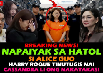 HUSTISYA VS. KAPANGYARIHAN: Alice Guo, Sinentensyahan ng Habambuhay na Pagkabilanggo; Harry Roque, Napapalibutan ng Interpol Red Notice at Banta ng Deportasyon