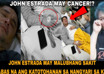 Ang Dobleng Dagok: Paghaharap ni John Estrada sa Sakit at ang Nagbabagang Krisis sa Pamilya—Sino Si Lily Holman?