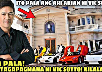 ANG NAKAKAGULAT NA MUKHA NG TAGAPAGMANA NI BOSSING VIC SOTTO: Inihanda Na Pala Ang Bilyun-Bilyong Ari-Arian Para Sa Kanya!