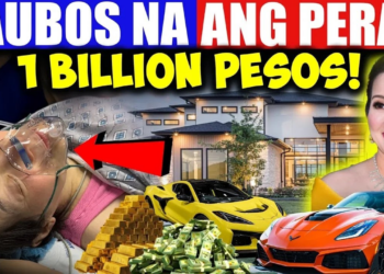 Nakakalulang Yaman ni Kris Aquino | Kris Aquino Net-worth