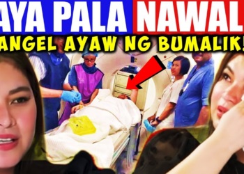 Magugulat Ka! Ito Na Ang Buhay ni Angel Locsin!