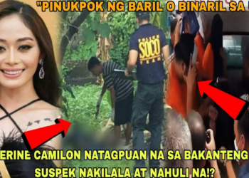 SAKSI TUMESTIGO: Catherine Camilon, Nakitang Duguan; Pulis, Pangunahing Person of Interest sa Nakakakilabot na Breakthrough