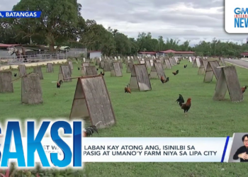 Manhunt Continues for Atong Ang After Laguna Court Issues Arrest Warrant (NH)