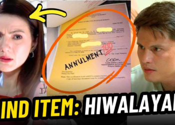 Behind the Blind Item: Did Carmina Villaroel Really File for Annulment Against Zoren Legaspi? (NH)