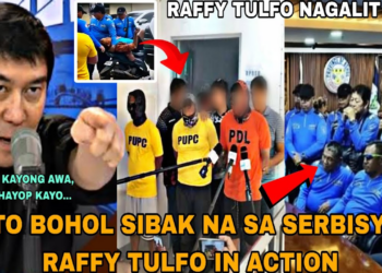 Himas-Rehas at Sibak sa Serbisyo: Limang LTO Enforcers sa Bohol, Pinarusahan Matapos ang Marahas na Paghuli sa Isang Magsasaka