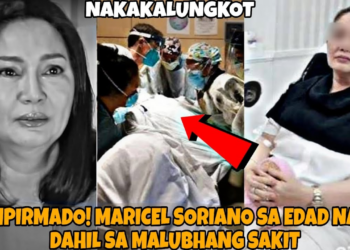 Laban ng Isang Diamond Star: Ang Katotohanan sa Likod ng Viral na Pagkarga ni JK Labajo kay Maricel Soriano sa Gitna ng Malubhang Sakit