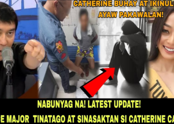 Kumpirmadong Buhay na Impiyerno: Ang Madilim na Sikreto sa Likod ng Pagkawala ni Catherine Camilon at ang Sangkot na Police Major