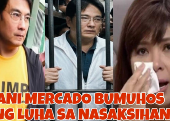 Lani Mercado Breaks Down in Tears as She Confronts Developments Involving Bong Revilla (NH)