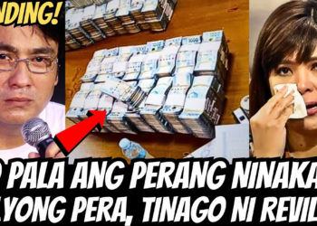 NABULGAR NA!! MILYON-MILYONG PERA, NAKULIMBAT SA BAHAY NI BONG REVILLA! LANI MERCADO, NAGULAT! (NH)